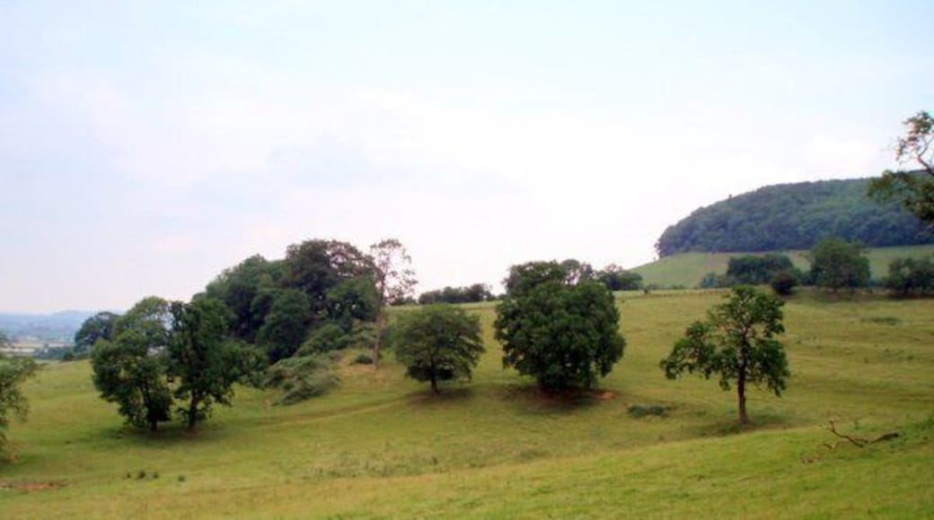 Cotswold edge. Looking north from Lever's hill along the west facing slope of the Cotswold hills.