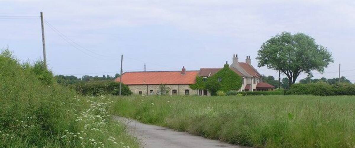 A rural road curving through a field with a house and a large tree in the background.