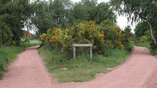 Southwell Trail. A junction 2 miles south of Bilsthorpe. Note the posing rabbit on the path, righthand side middle