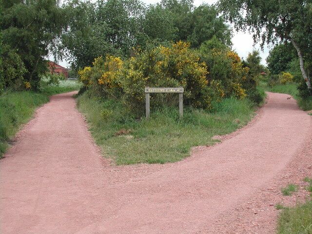 A rural dirt road with a signpost indicating 'BIRDS OF THE WEST'.
