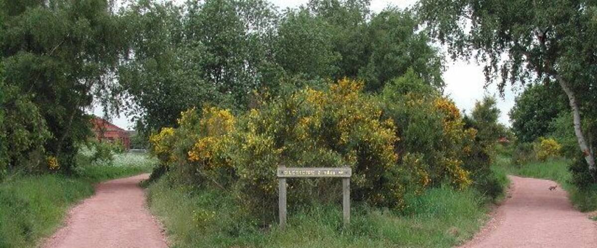 A rural dirt road with a signpost indicating 'BIRDS OF THE WEST'.