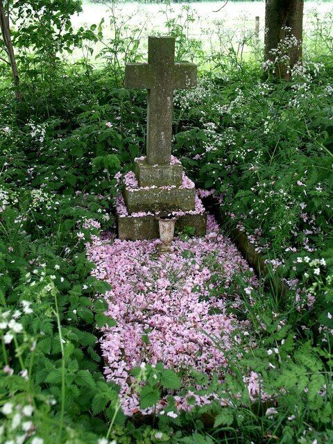 St Andrew, Firsby. Natures way of putting flowers on a grave. The petals from a nearby cherry tree had fallen in just the right place.