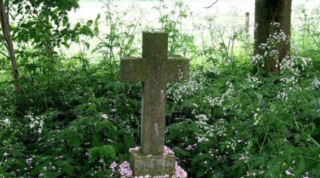 St Andrew, Firsby. Natures way of putting flowers on a grave. The petals from a nearby cherry tree had fallen in just the right place.
