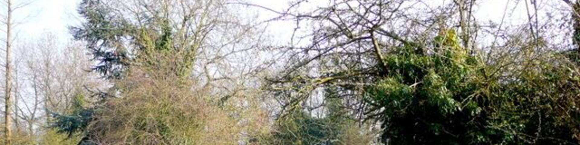 Market Harborough Arm, Grand Union Canal Looking east from Foxton swing bridge.