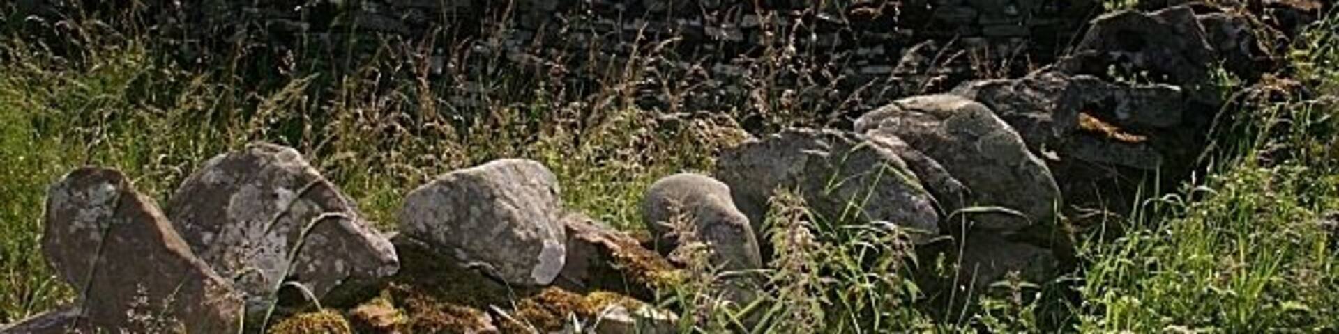 Damside Barley fields across the road from Damside Cottages. In the distance is Dunnichen Hill.