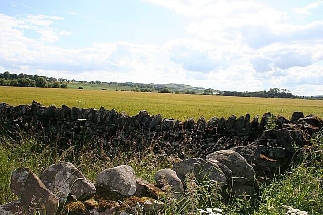 A stone wall, a grassy field, and a cloudy sky.