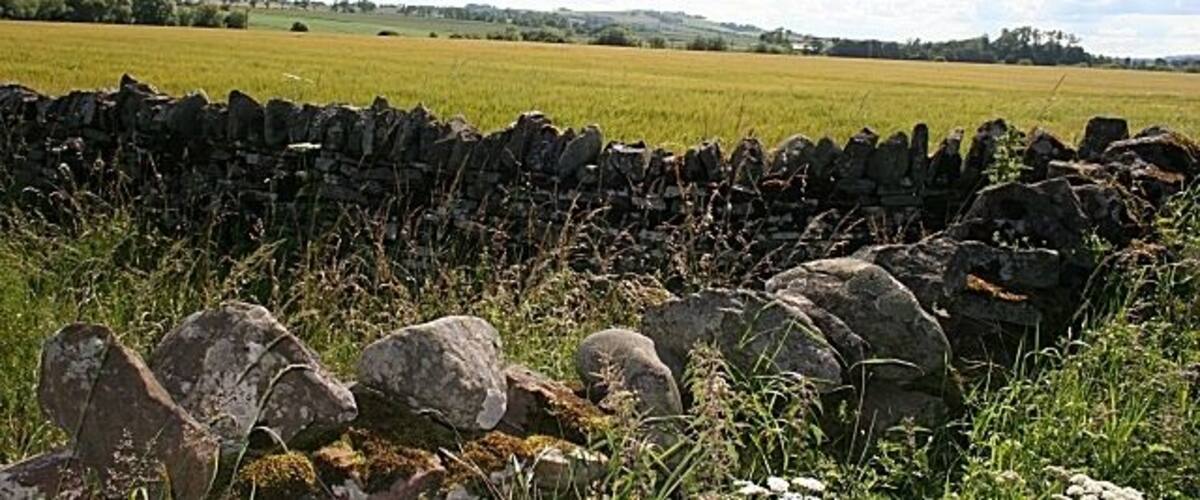 A stone wall, a grassy field, and a cloudy sky.