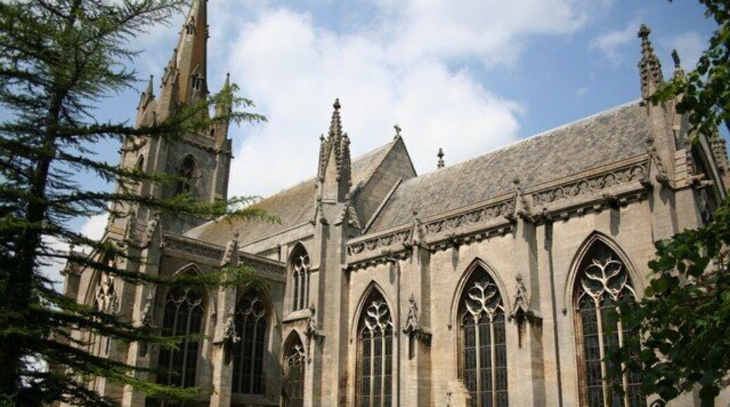 St.Andrew's church, Heckington. One of the finest parish churches in Lincolnshire and arguably in all England. All built c1350 in the Decorated gothic style. Beautiful flowing reticulated and curvilenear traceried windows, a fantastic easter Sepulchre and grand, spacious proportions worthy of a large town church.