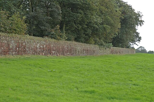 Wall at Hoghton Tower The trees behind the wall are part of Hoghton Tower Wood