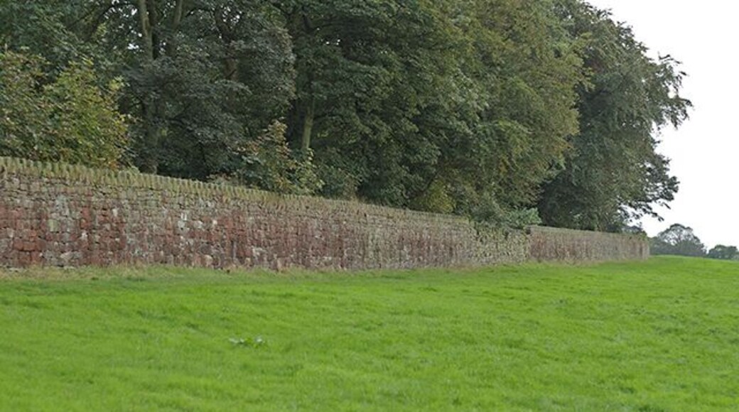 Wall at Hoghton Tower The trees behind the wall are part of Hoghton Tower Wood