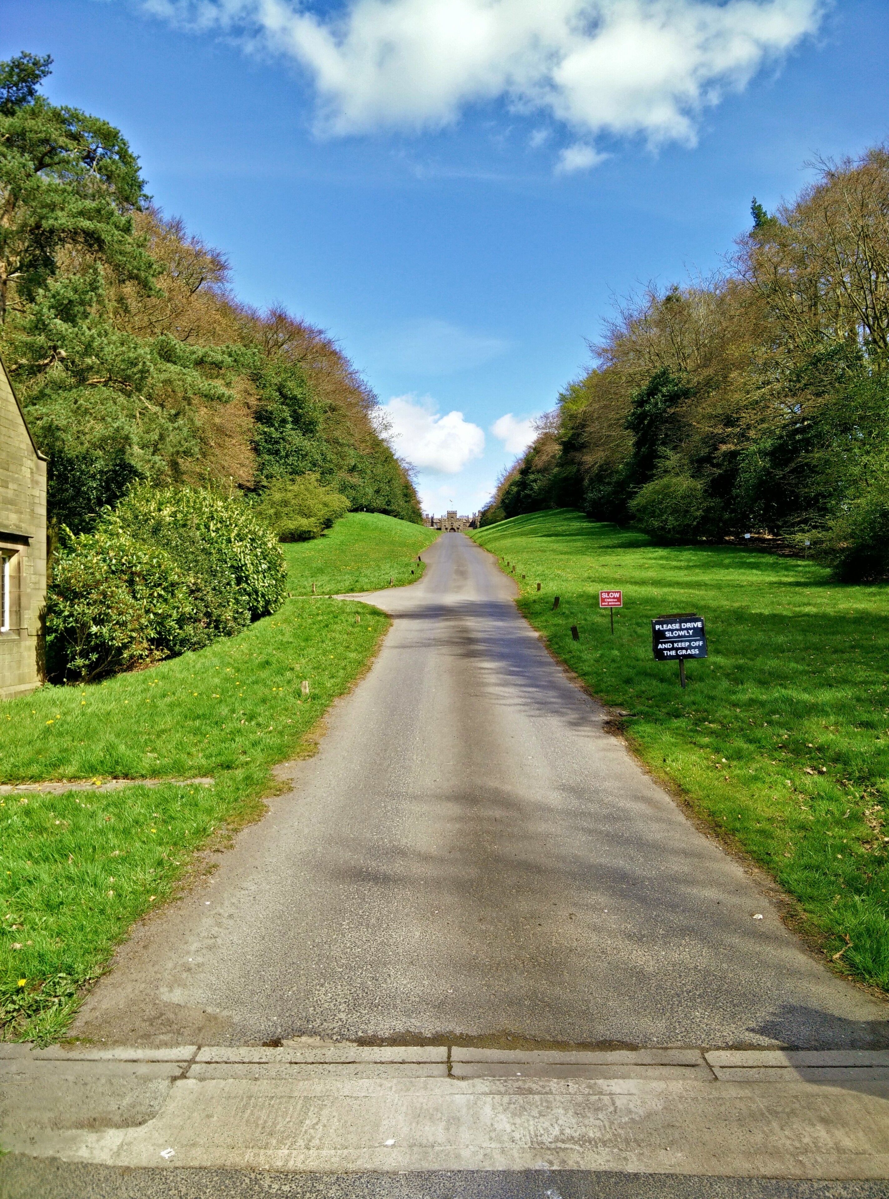 A rural road flanked by trees and a sign instructing to drive slowly and keep off the grass.