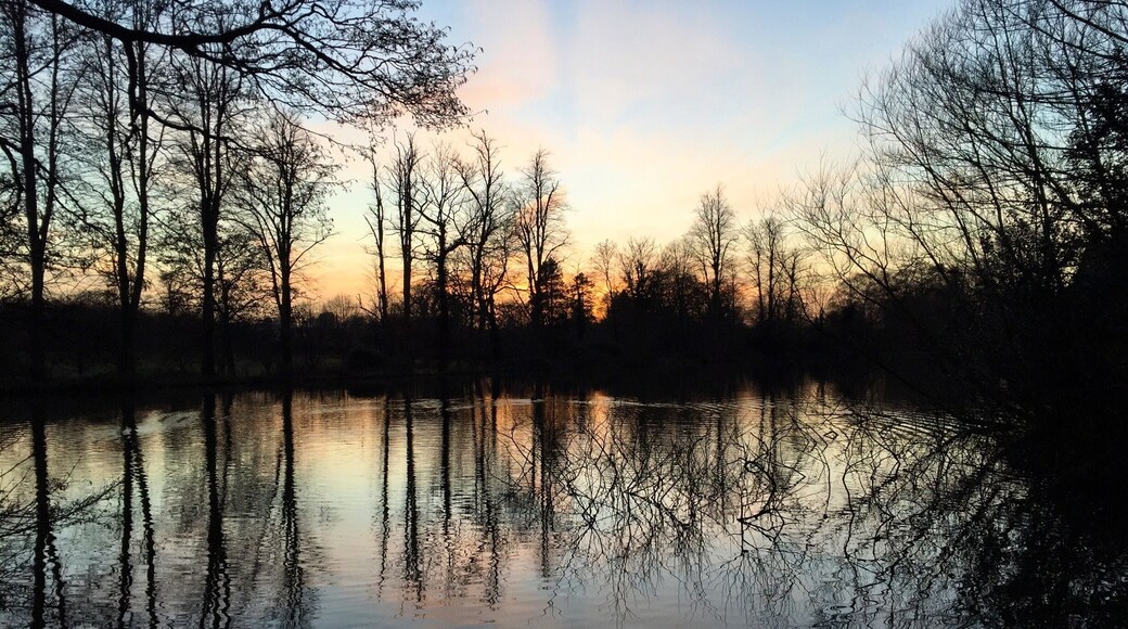 One of the small lakes on the beautiful Groombridge Place estate. Visit the Crown Inn in the village, sit outside and watch the world go by.
