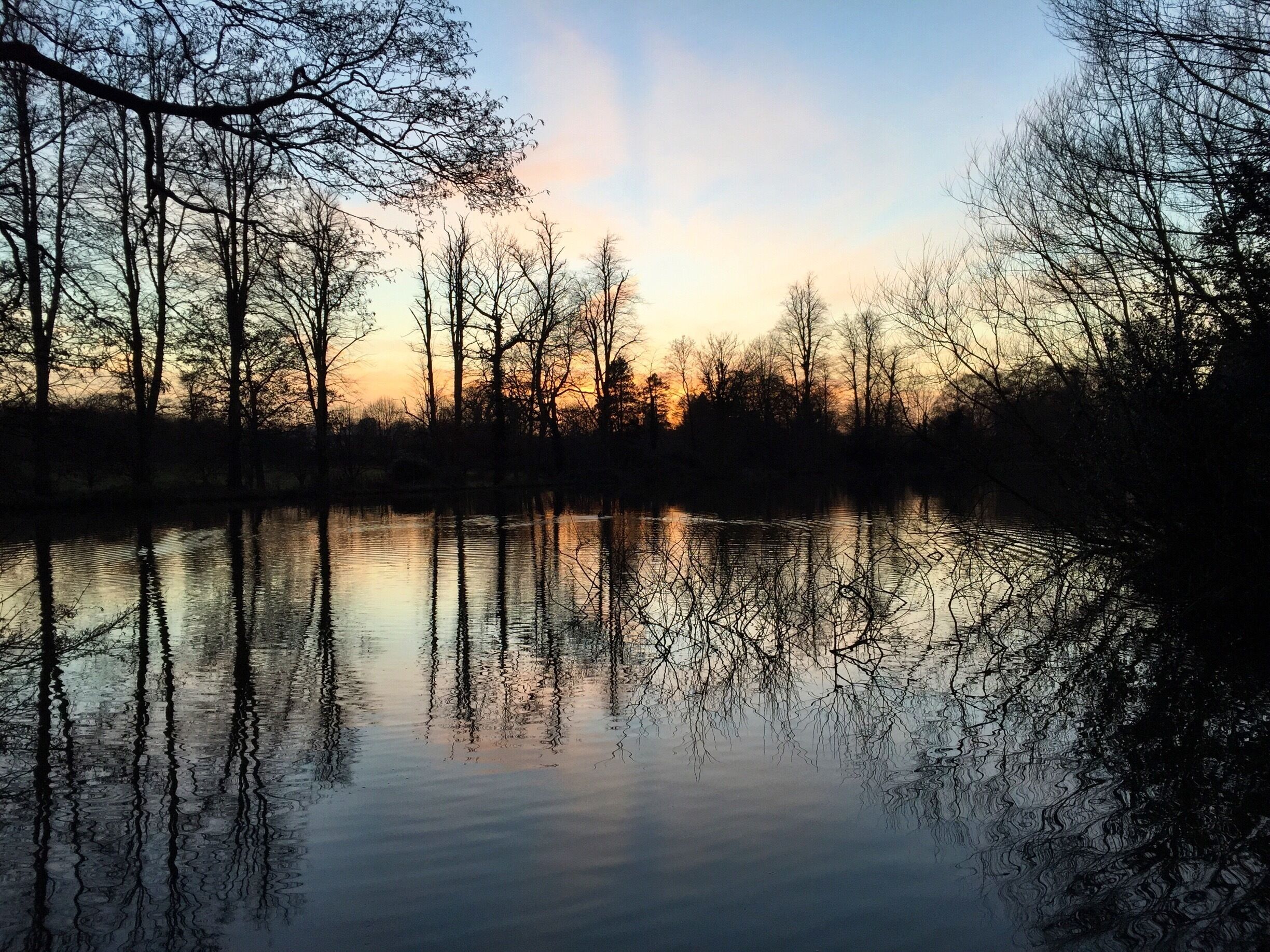 A calm river reflecting leafless trees during sunset.