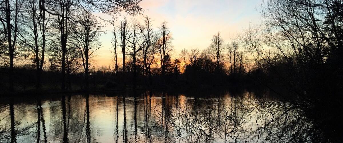 A calm river reflecting leafless trees during sunset.