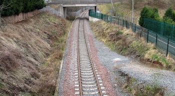 Railway Revived This was originally part of the Wellington to Stafford line, it was closed and the track lifted in the early 1990s when the MOD depot at Donnington ceased to use rail transport. However the local authority has been instrumental in re-opening the line to link with a new freight depot at Donnington. Beeching revenged!! Note The Wrekin brooding in the distance.