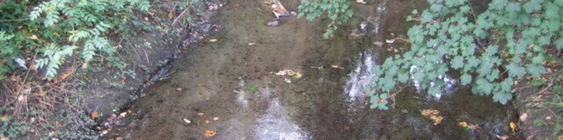 River Pinn in Ickenham The River Pinn is a tributary of the River Colne and is viewed here looking downstream from the Swakeleys Drive road bridge.