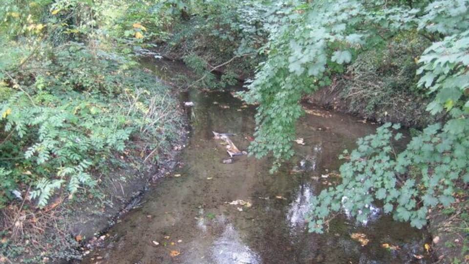 River Pinn in Ickenham The River Pinn is a tributary of the River Colne and is viewed here looking downstream from the Swakeleys Drive road bridge.
