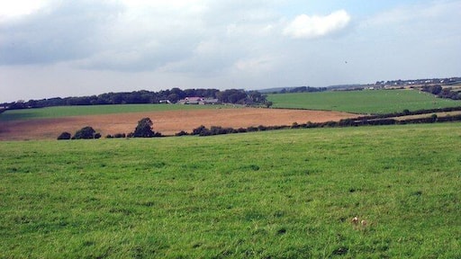 View across farmland towards Plas Llandegfan Farm In the 19th century the 500 acre Plas Llandegfan Farm was owned by members of the Brocklebank shipping family. Game rearing and shooting then played an important part in the pattern of farm activities. http://www.jillcoulthard.com/Coulthard_fh/09robert_annie_egremont.html