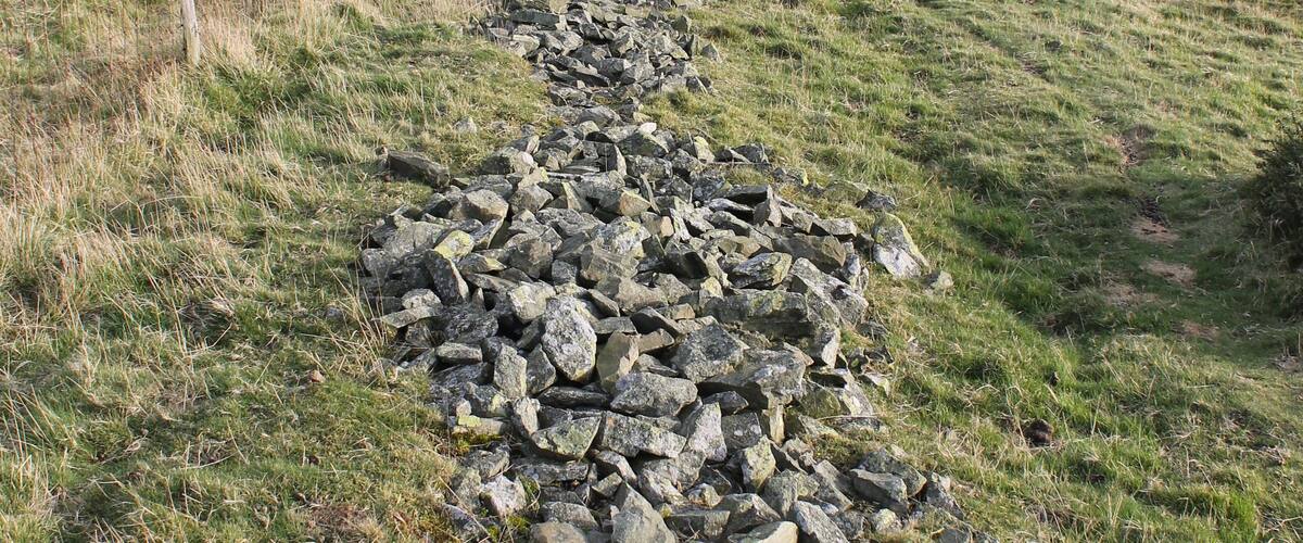 Fallen wal near the summit of Moel y Waun, Clwydian range; east of Pentrecelyn, Denbighshire, north Wales. Posibly Bronze Age.