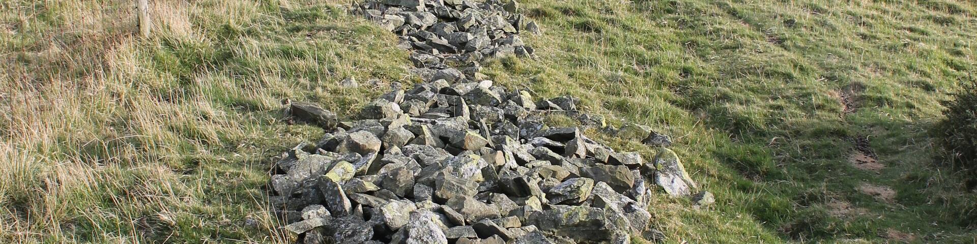 Fallen wal near the summit of Moel y Waun, Clwydian range; east of Pentrecelyn, Denbighshire, north Wales. Posibly Bronze Age.