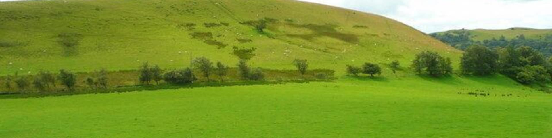 Hillside west of Ffynnon-oer Looking south from the road/bridleway intersection. An unnamed hill at 388m altitude.