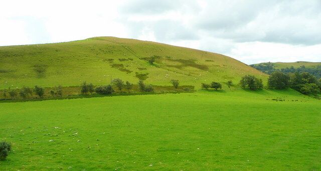 A green hillside with a fence and scattered trees.