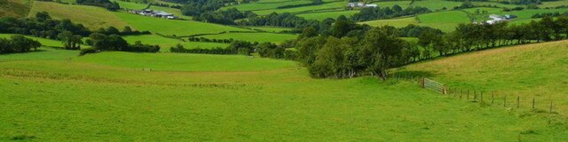 Pasture land above Fanolau Farm The farm itself is screened by the woodland in the centre.