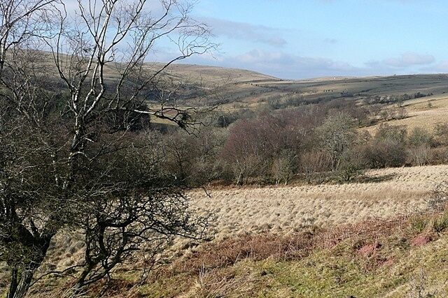 Above Ysgir Fechan Looking north into the valley of Ysgir Fechan, that runs down from Mynydd Epynt. This is mainly rough grazing. This area is not often open to the public but a motor rally was taking place there this weekend.