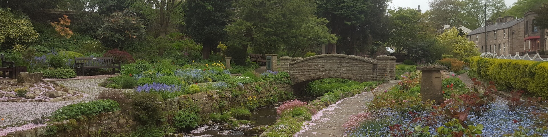 Lovely Coronation gardens in Waddington, very pretty at this time of year. The falling blossom is like confetti.