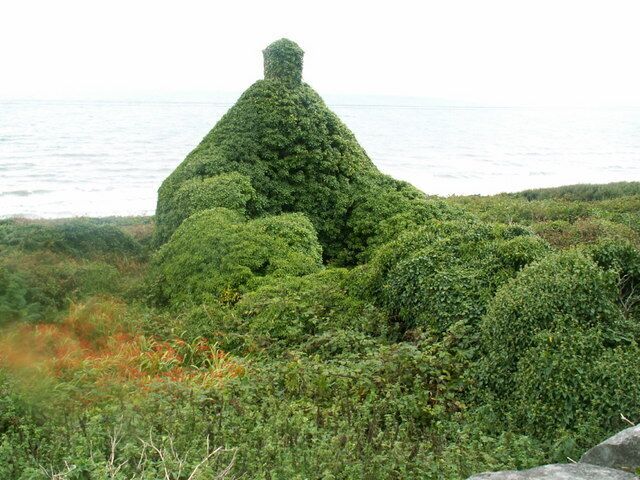Llanaber. Not much left of a house between St Bodfan's church and the sea at Llanaber, the 5th century Llanaber stone can be found at the church.