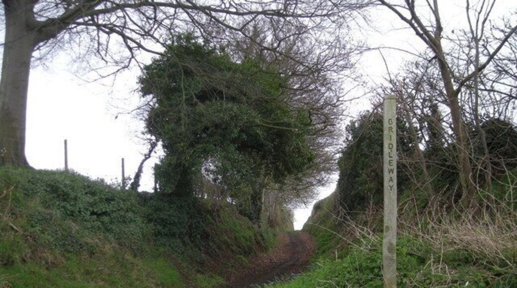 Well used bridleway