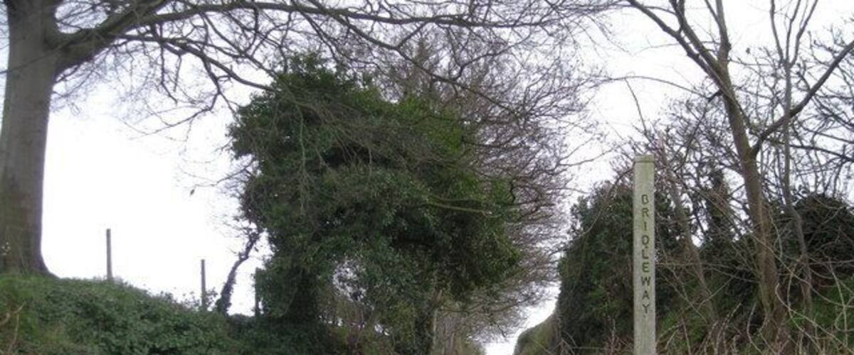A narrow path with a signpost labeled 'BIRLEWAY' surrounded by greenery and trees.