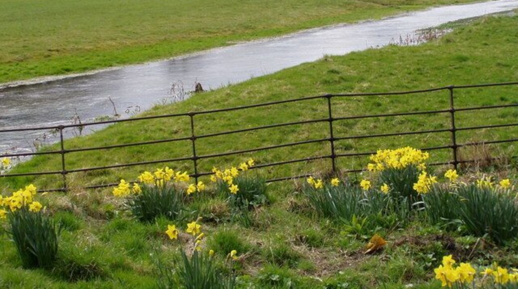 Gypsey Race, Near Boynton Hall, Boynton, East Riding of Yorkshire, England.
