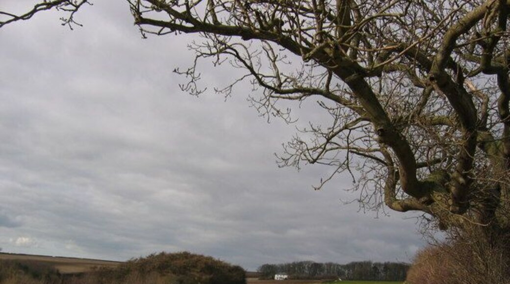 Binsdale Farm, Boynton, East Riding of Yorkshire, England.