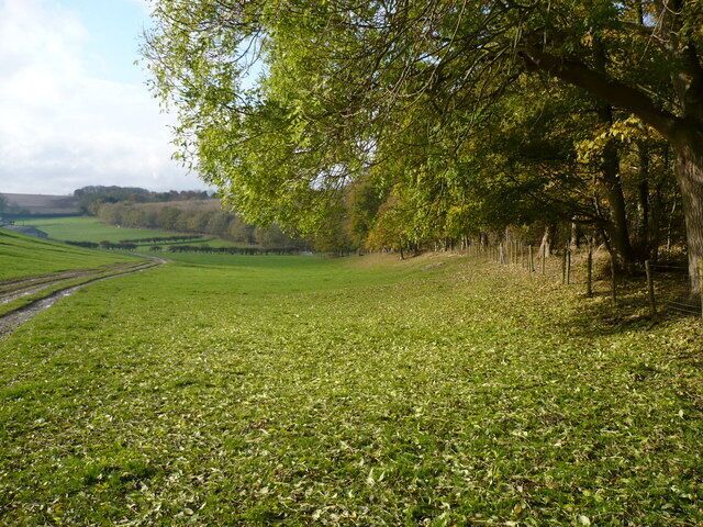 Farmland and track at North Wood Farm Boynton, East Riding of Yorkshire, England.