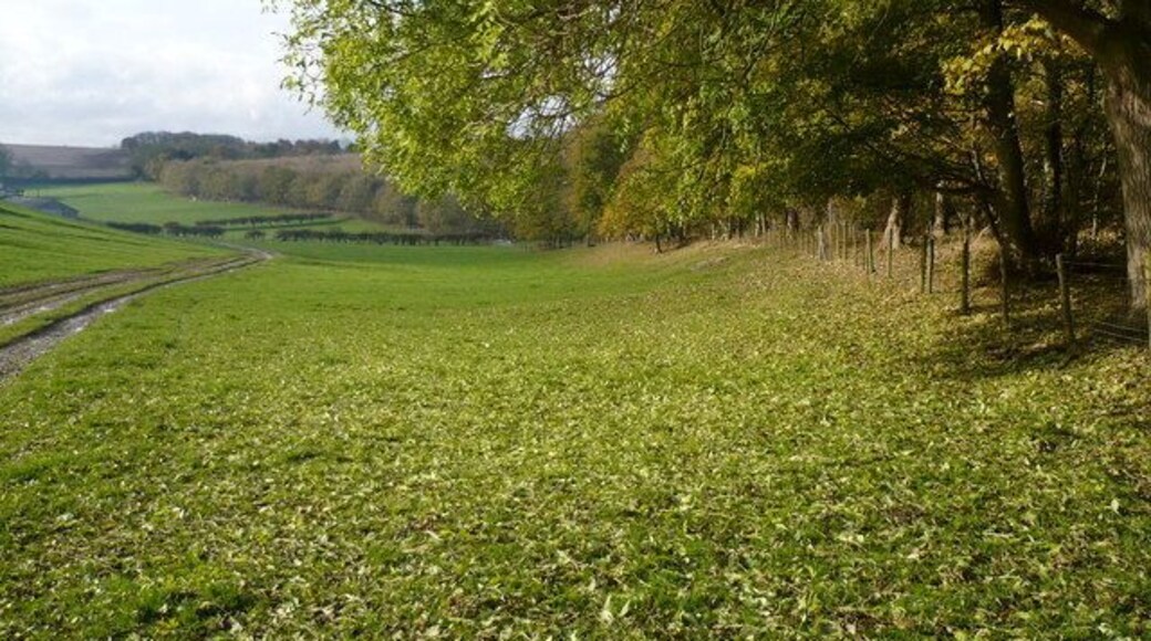 Farmland and track at North Wood Farm Boynton, East Riding of Yorkshire, England.