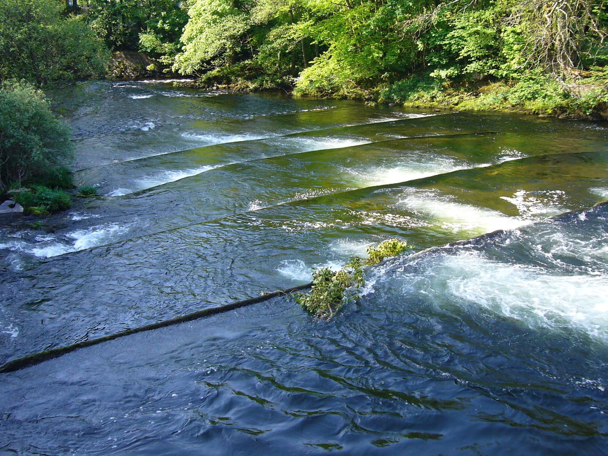 This shows the lower part of an old form of fish ladder on the River Dart at "Salmon Leap" in Devon. As the name suggests it was built to facilitate salmon going up river to spawn.