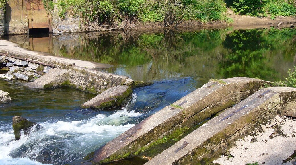 This shows an old form of fish ladder on the River Dart at "Salmon Leap" in Devon. As the name suggests it was built to facilitate salmon going up river to spawn.