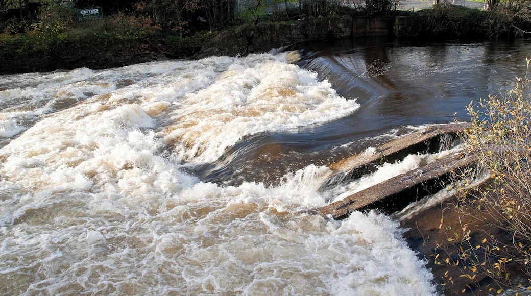 This shows the River Dart in flood at an old form of fish ladder at "Salmon Leap" in Devon. As the name suggests it was built to facilitate salmon going up river to spawn.
