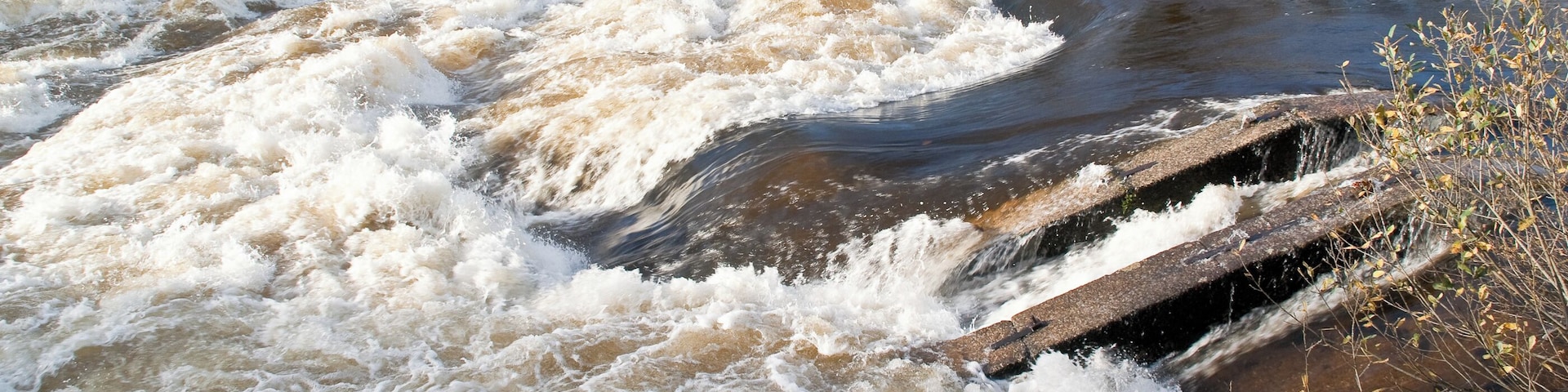 This shows the River Dart in flood at an old form of fish ladder at "Salmon Leap" in Devon. As the name suggests it was built to facilitate salmon going up river to spawn.