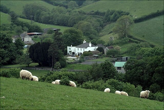 Colston from the A384. A view across the valley showing Colston. Hidden in the dip behind the sheep is the railway and the River Dart.