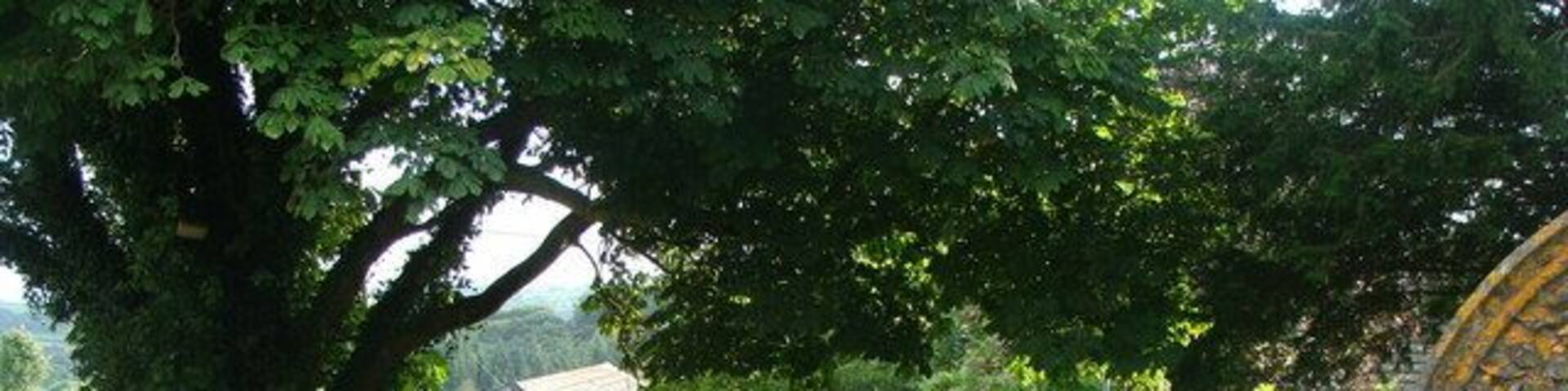 St. James's churchyard Reynalton