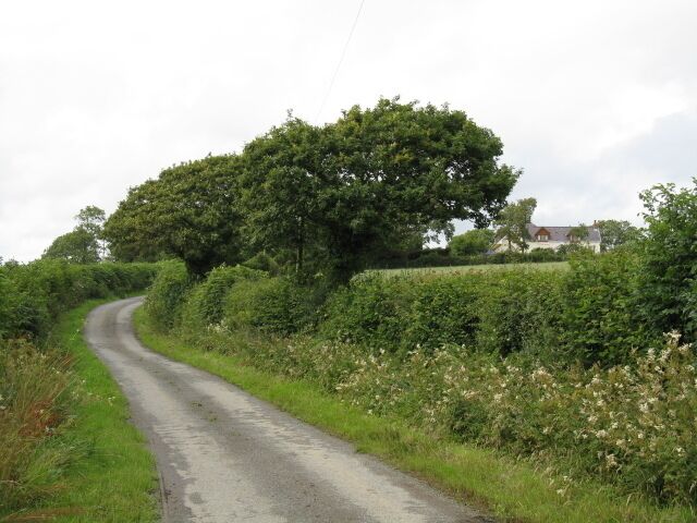 Lane To Greenhill Farm
