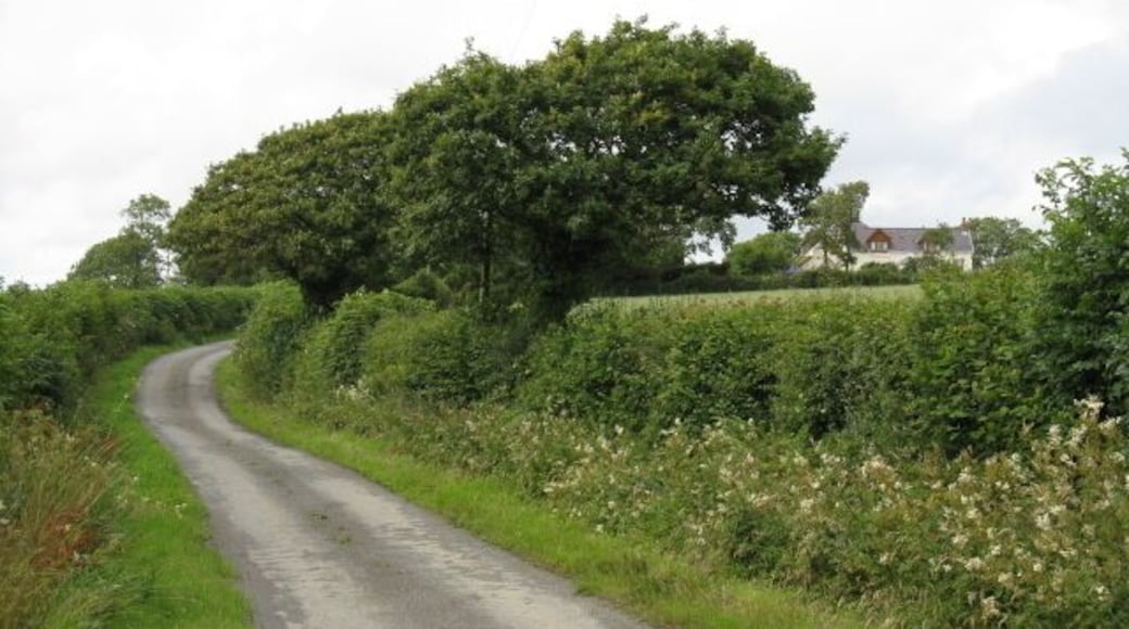 Lane To Greenhill Farm