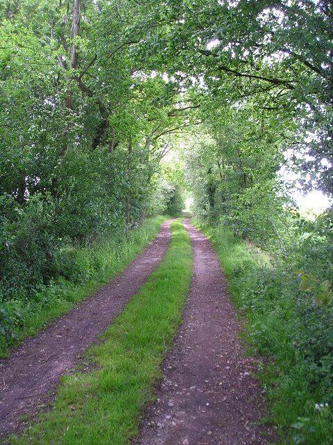 Brook Lane. This section of Brook Lane is still lined by hedges and has large ditches on both sides. For an explanation of the significance of this ancient lane see 1314130