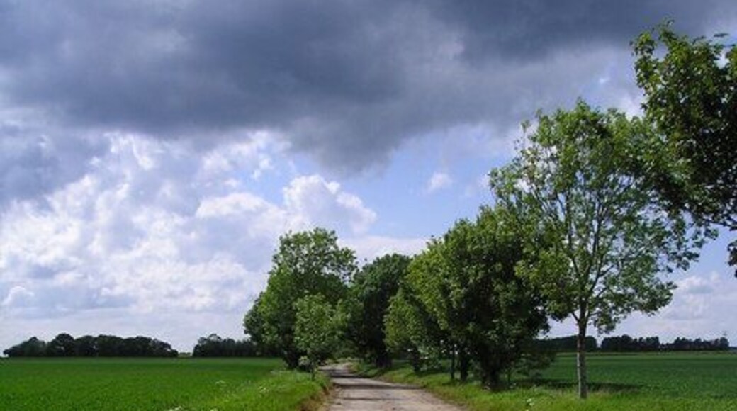 Brook Lane This lane marks the border between Mickfield and Wetheringsett Cum-Brockford. It was also the border between the old Hartismere Hundred (to the North) and Bosmere Hundred (to the South). Historian Norman Scarfe (in his book "The Suffolk Landscape) considers that the lane dates back at least to the 10th Century and may be as old as the 7th Century. In places the ancient ditches are still visible. This part of the lane was laid with concrete as part of the construction of Mendlesham Airfield in the 2nd World War. The old airfield lies to the North of the lane.