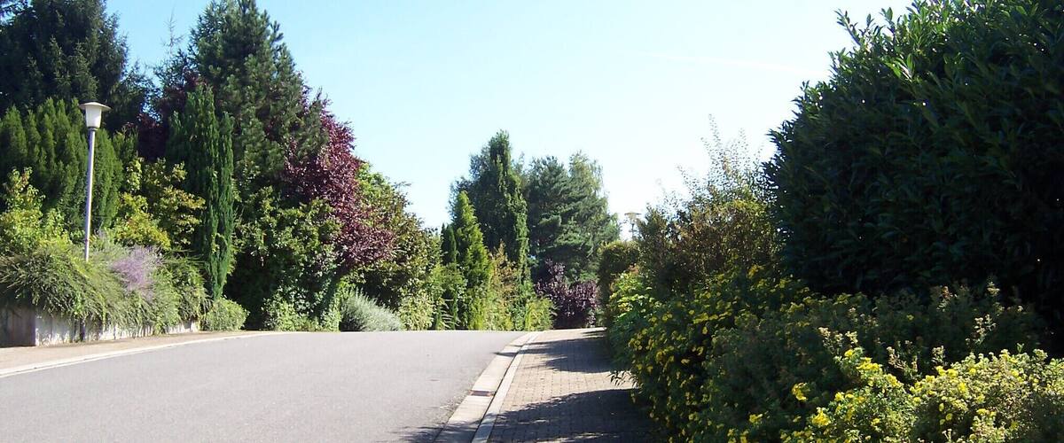 A curved road with a brick sidewalk, surrounded by dense greenery and trees.