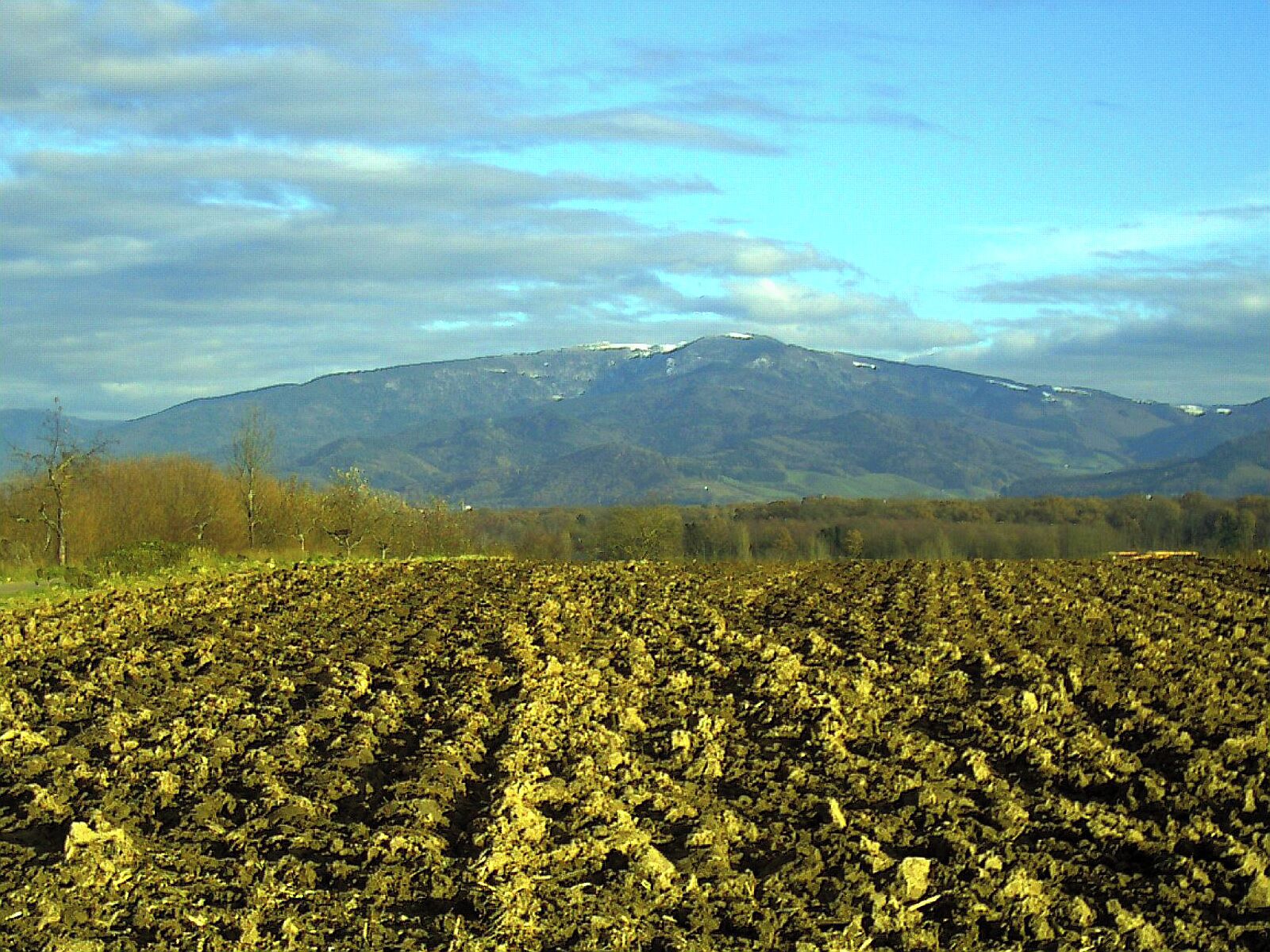 A field with a mountain in the background.