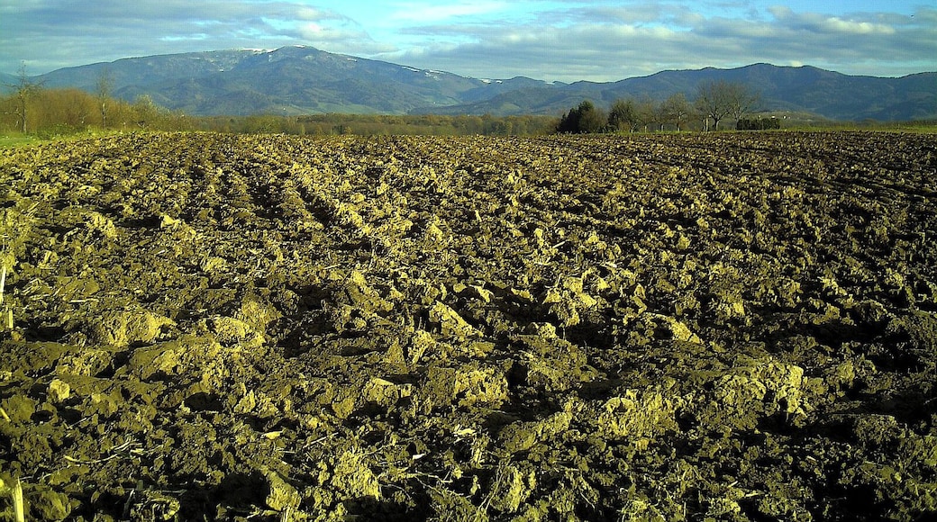 December Leuchtende Sonnwende Mount Kandel - Master Mythos Black Forest Photography 2013 Montain View and Sun Valley - Tiefster Stand der Sonne