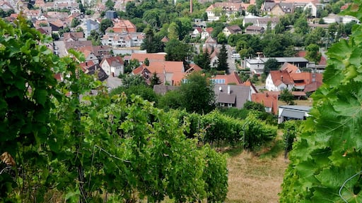 Stetten